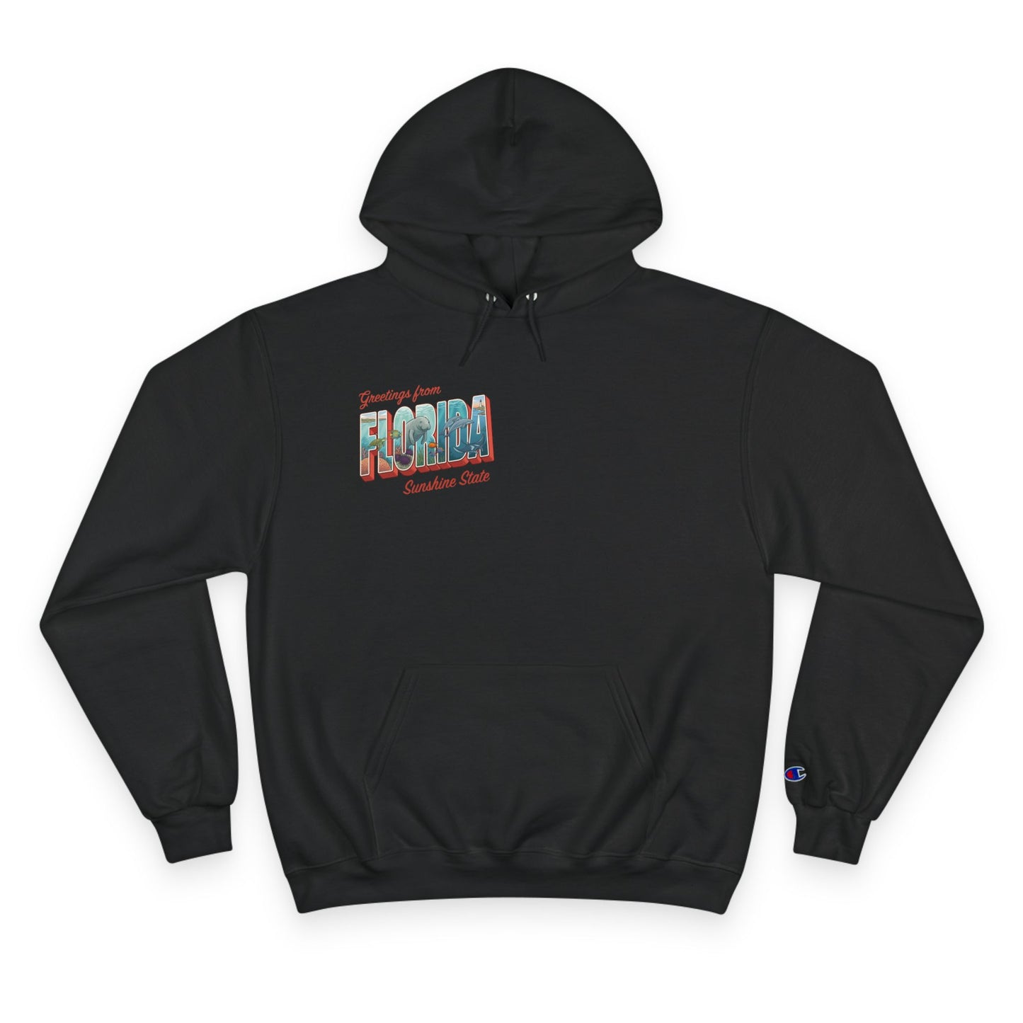 Reef Supply x Champion — Greetings from Florida Hoodie