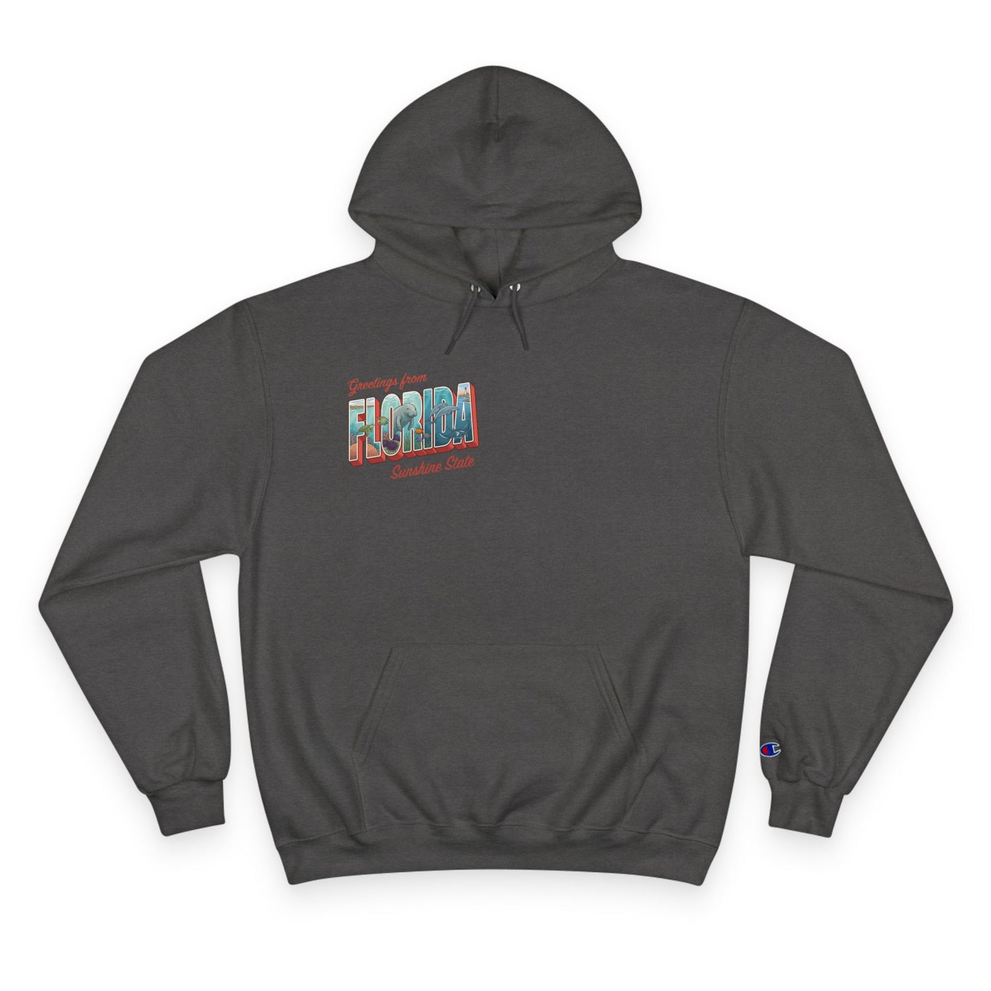 Reef Supply x Champion — Greetings from Florida Hoodie